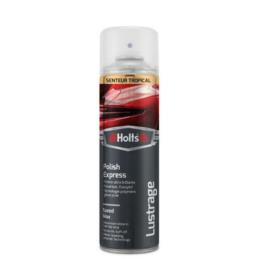 HOLTS wosk w sprayu 500ml | Sklep online Galonoleje.pl
