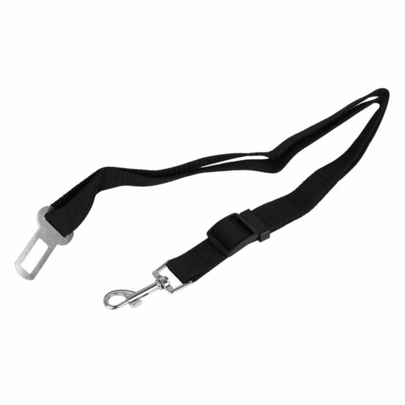 CARMOTION Samochodowa smycz dla zwierząt, 45-80cm | Sklep online Galonoleje.pl