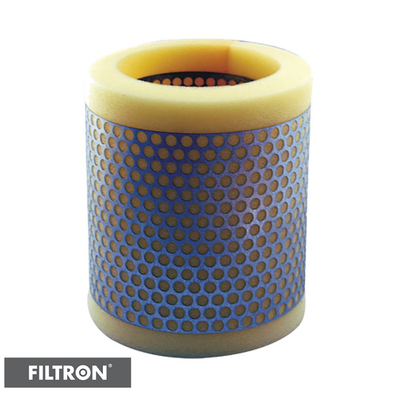 FILTRON FILTR POWIETRZA AG249