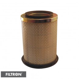 FILTRON FILTR POWIETRZA AK313