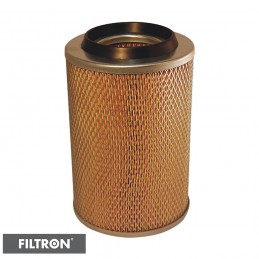 FILTRON FILTR POWIETRZA AM417