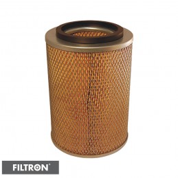 FILTRON FILTR POWIETRZA AM422