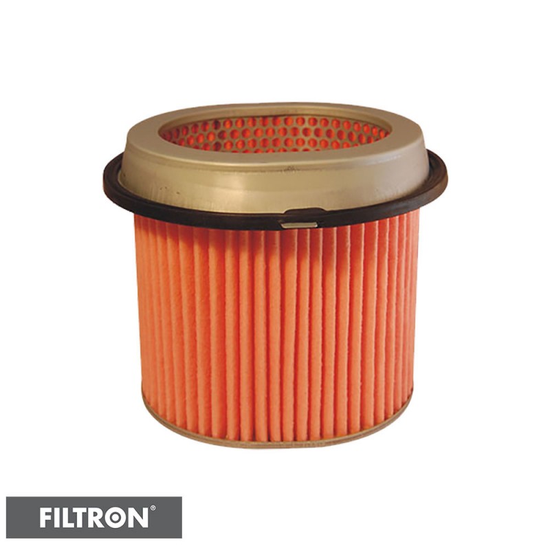 FILTRON FILTR POWIETRZA AM433