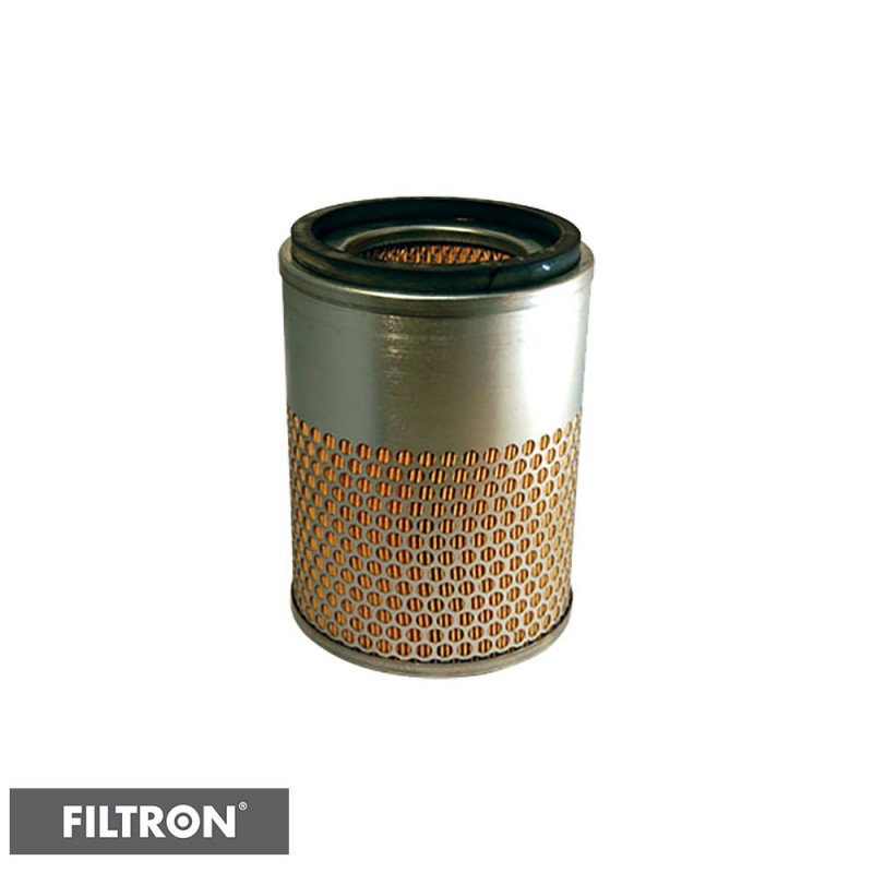 FILTRON FILTR POWIETRZA AM434