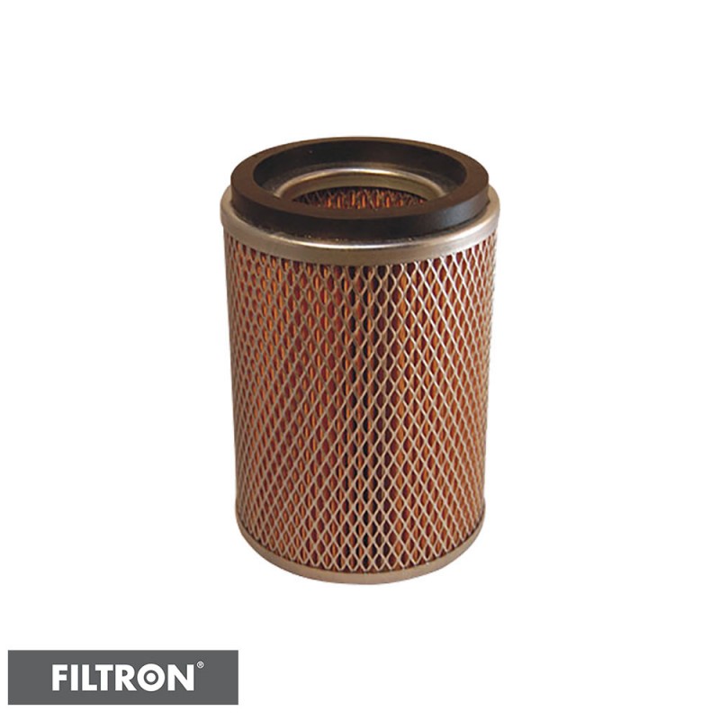 FILTRON FILTR POWIETRZA AM436/1