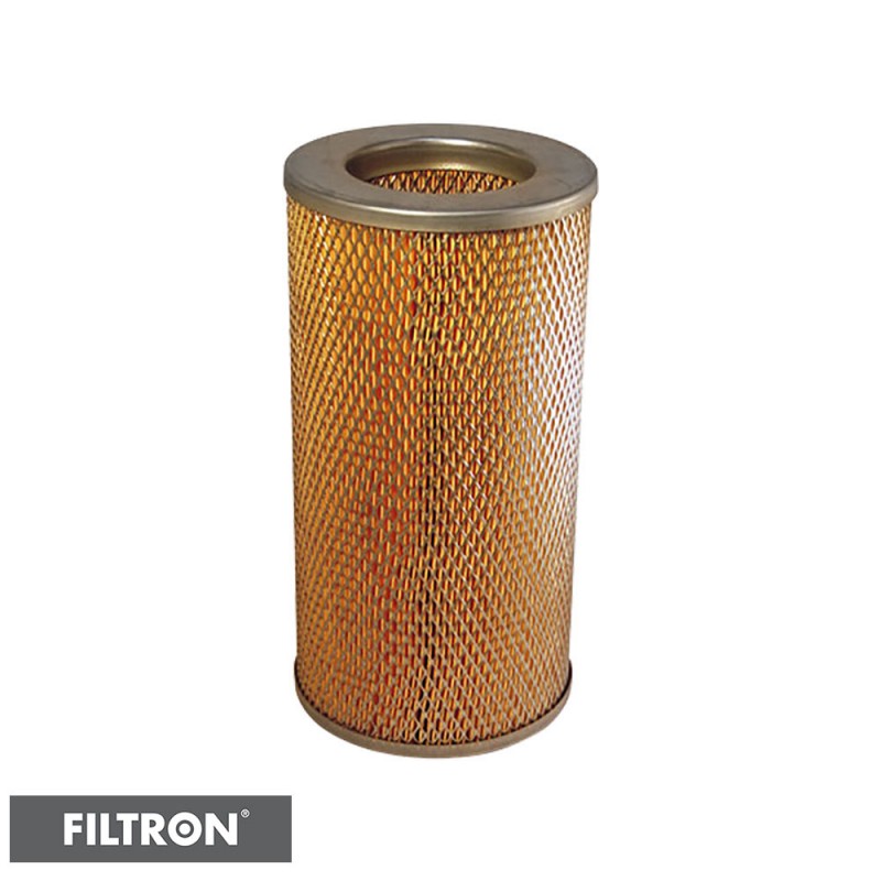 FILTRON FILTR POWIETRZA AM441/1