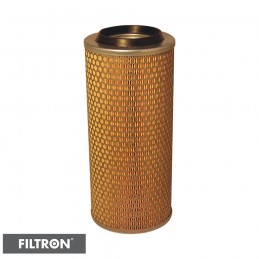 FILTRON FILTR POWIETRZA AM454/1
