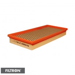 FILTRON FILTR POWIETRZA AP010/2