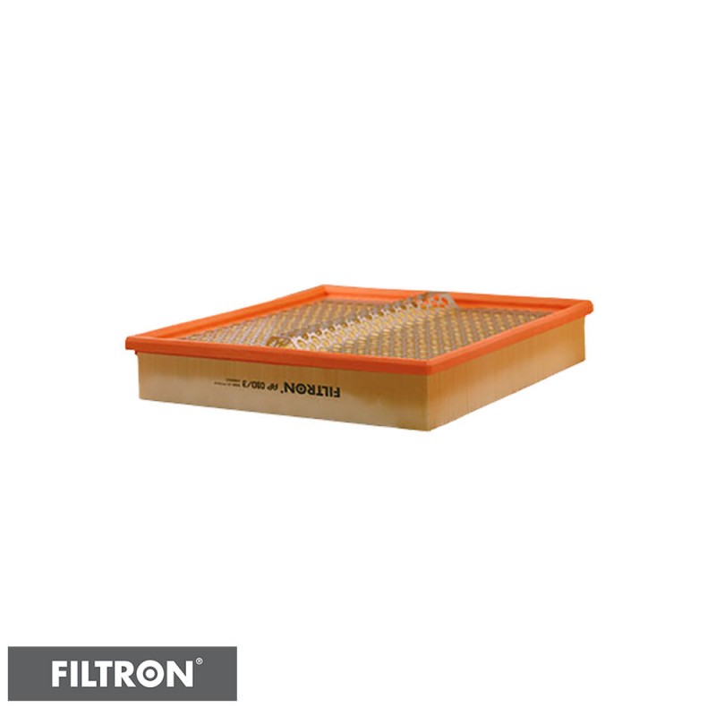 FILTRON FILTR POWIETRZA AP010/3