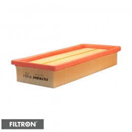 FILTRON FILTR POWIETRZA AP022/1