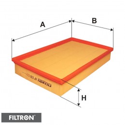 FILTRON FILTR POWIETRZA AP038