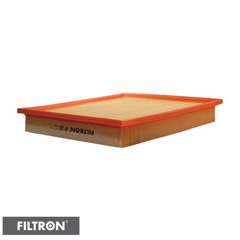 FILTRON FILTR POWIETRZA AP081