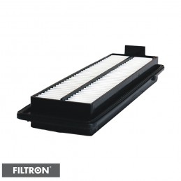 FILTRON FILTR POWIETRZA AP102/4