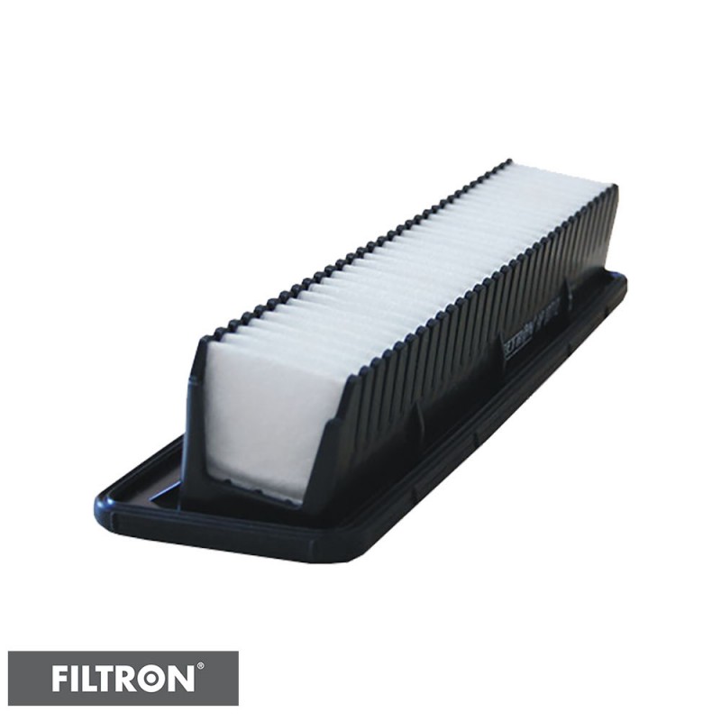 FILTRON FILTR POWIETRZA AP107/2