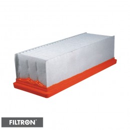 FILTRON FILTR POWIETRZA AP134/9