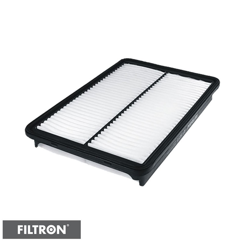 FILTRON FILTR POWIETRZA AP197/1