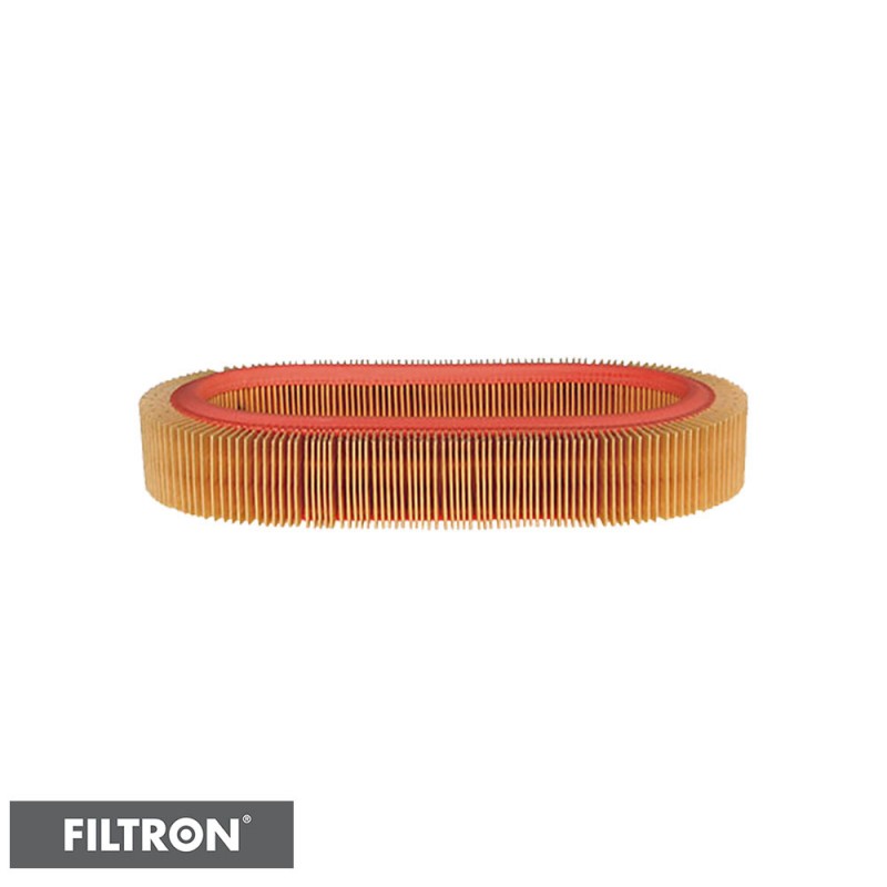 FILTRON FILTR POWIETRZA AR001