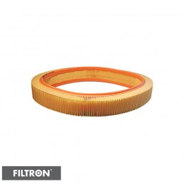 FILTRON FILTR POWIETRZA AR036/1