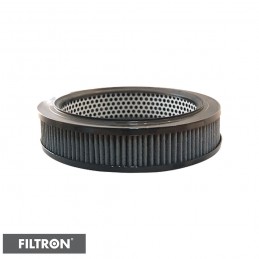 FILTRON FILTR POWIETRZA AR227/1