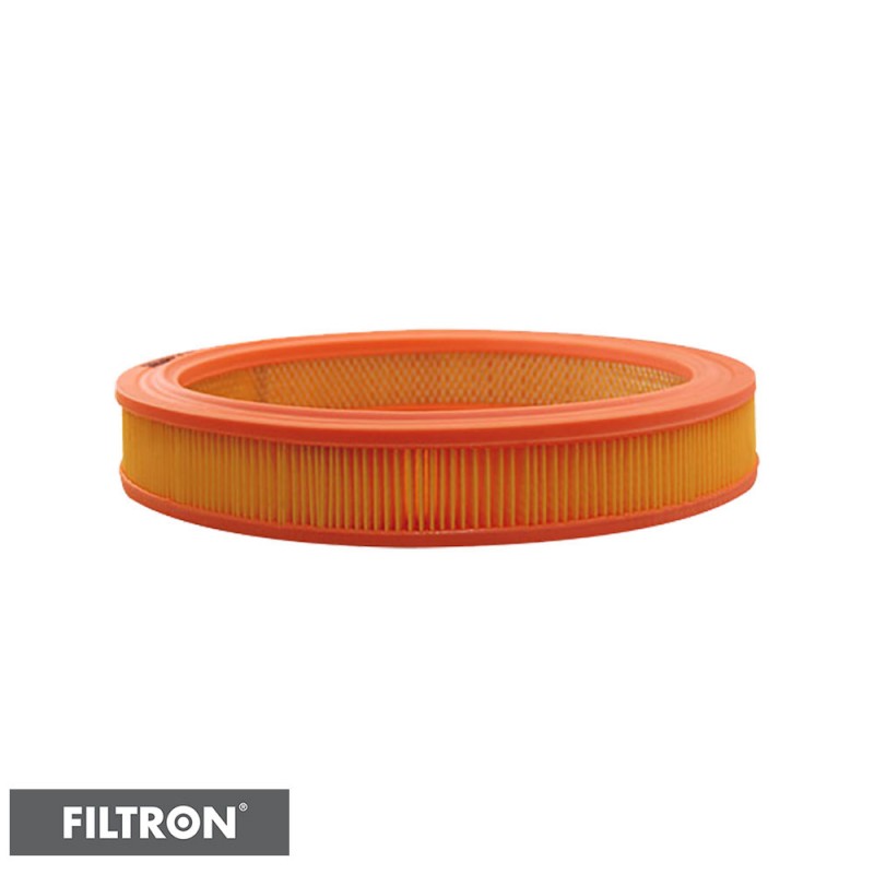 FILTRON FILTR POWIETRZA AR244