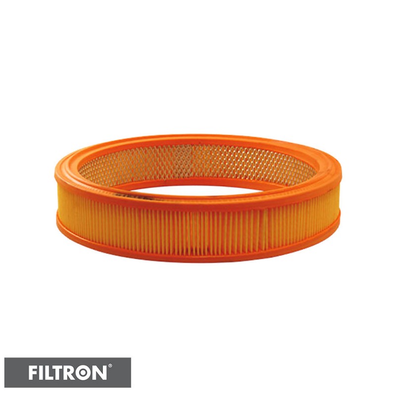 FILTRON FILTR POWIETRZA AR258