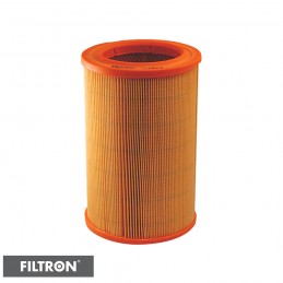 FILTRON FILTR POWIETRZA AR282/1