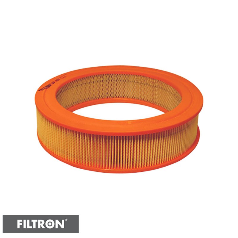 FILTRON FILTR POWIETRZA AR291