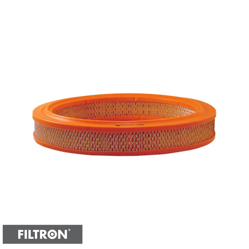 FILTRON FILTR POWIETRZA AR294