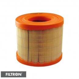 FILTRON FILTR POWIETRZA AR302/1