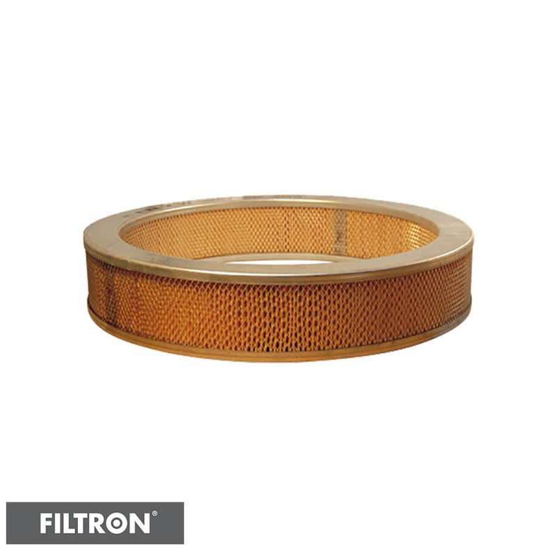 FILTRON FILTR POWIETRZA AR303