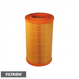 FILTRON FILTR POWIETRZA AR304/1