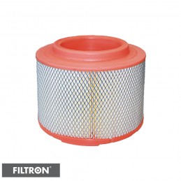 FILTRON FILTR POWIETRZA AR307/2