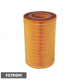 FILTRON FILTR POWIETRZA AR366/4