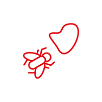 Usuwanie owadów, smoły i kleju